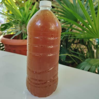 Té 1 Litro