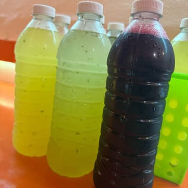Agua Limon 500 ml