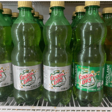 Ginger Ale 600 ml