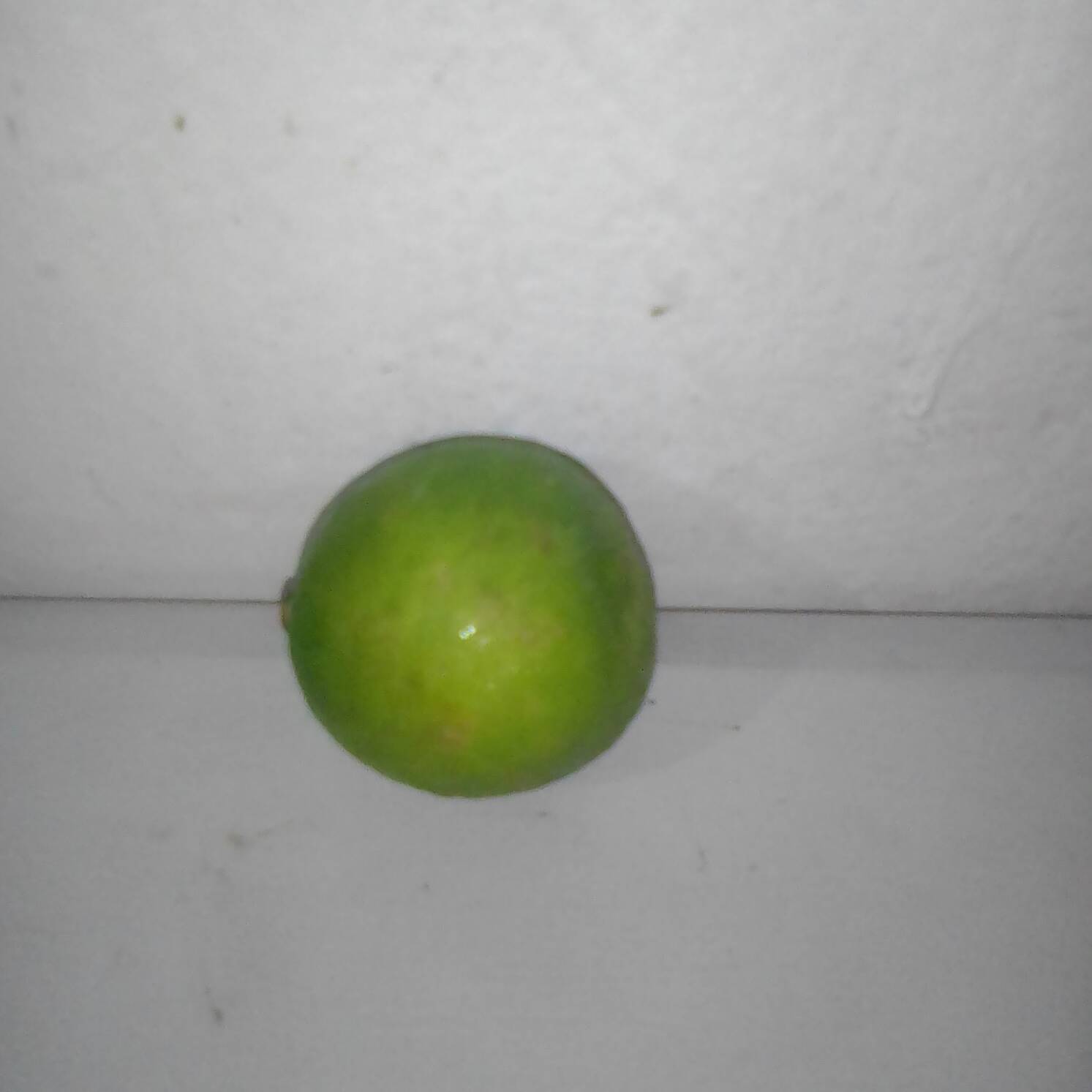 Limon Extra