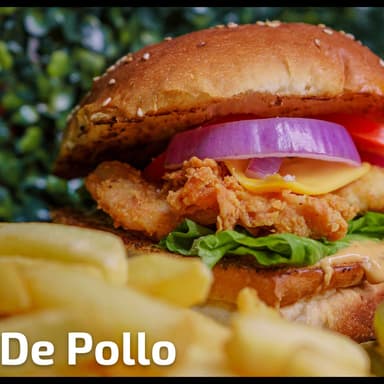 HAMB. POLLO