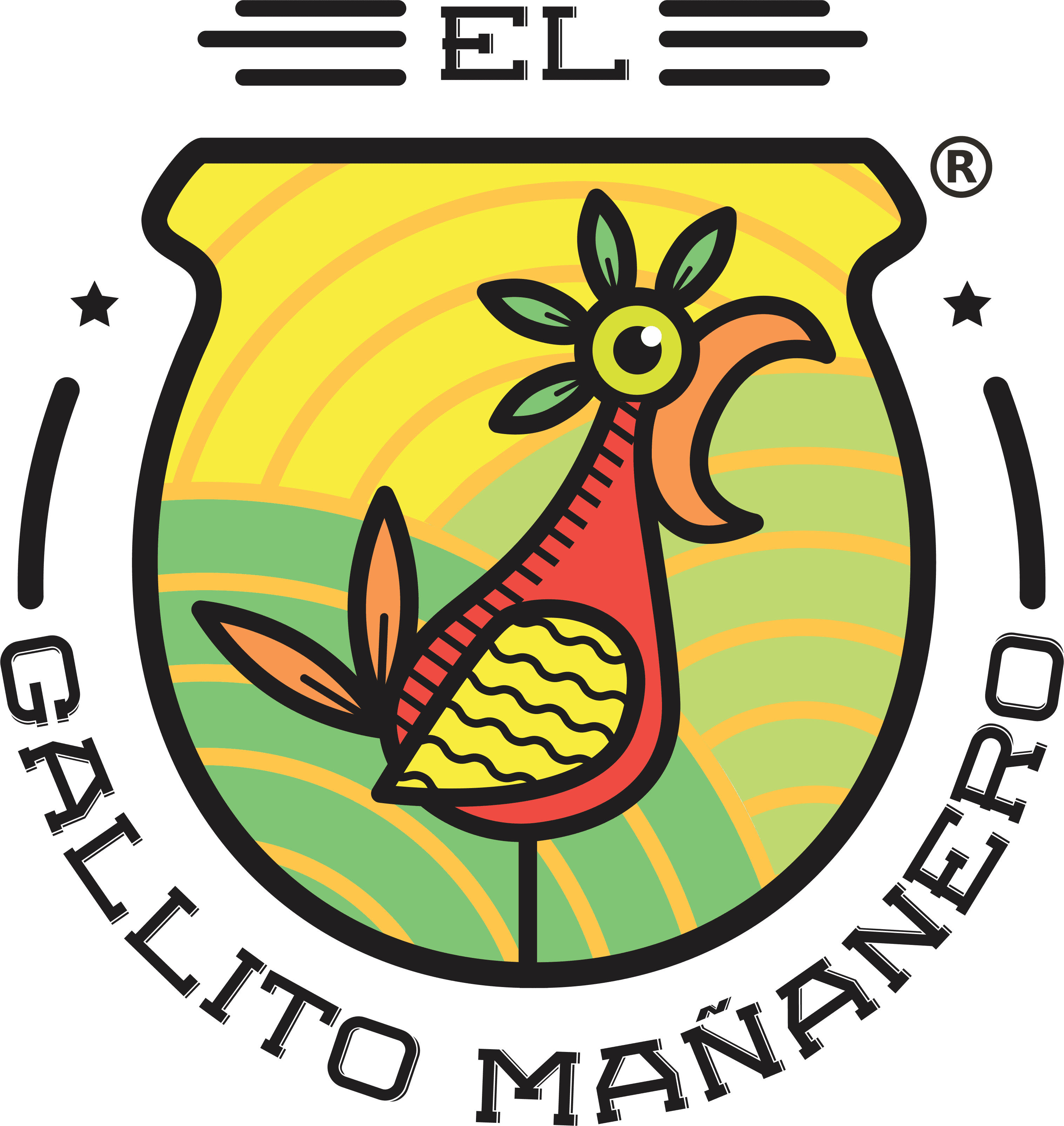 El Gallito Mañanero (Norte)