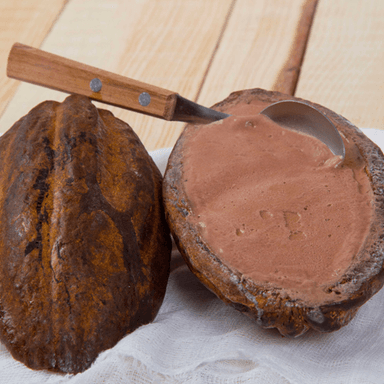 HELADO DE CACAO (COPA)