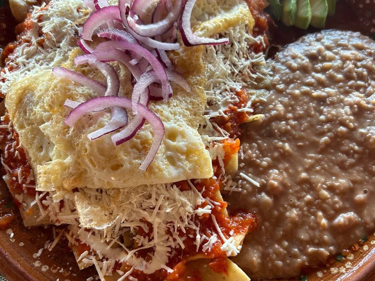 Esquina choyera San José del cabo