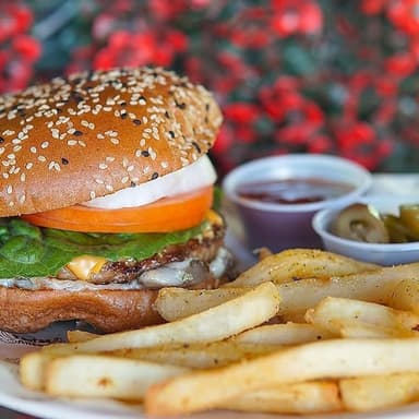 Hamburguesa el faustillo 79+orden de papas!