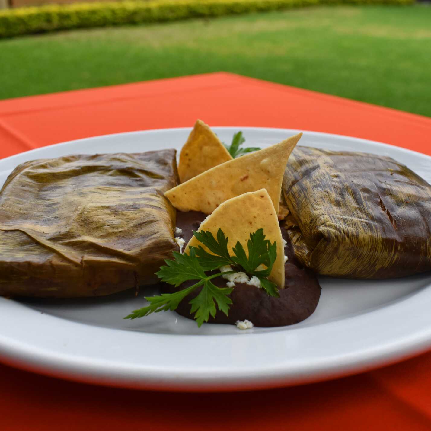 Tamales Oaxaqueños Vegetarianos