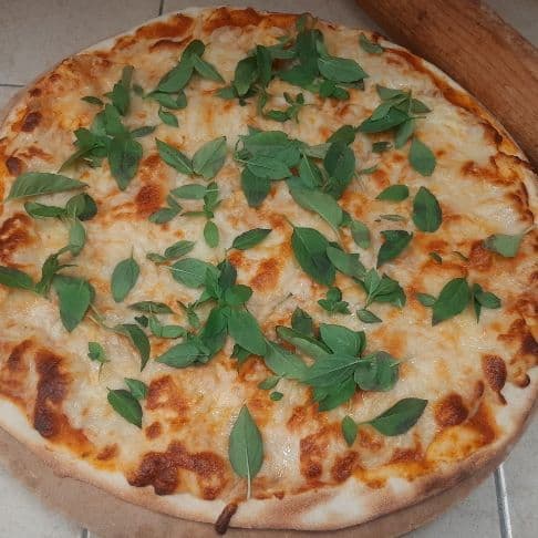 Pizza fungi margarita