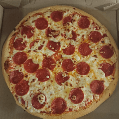 Pizza Grande 1 Ingrediente