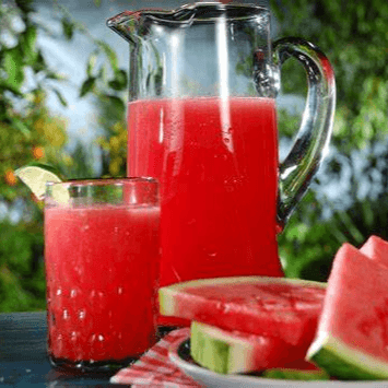 Agua de sandia 1L