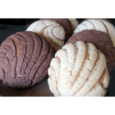 Paquete Conchas