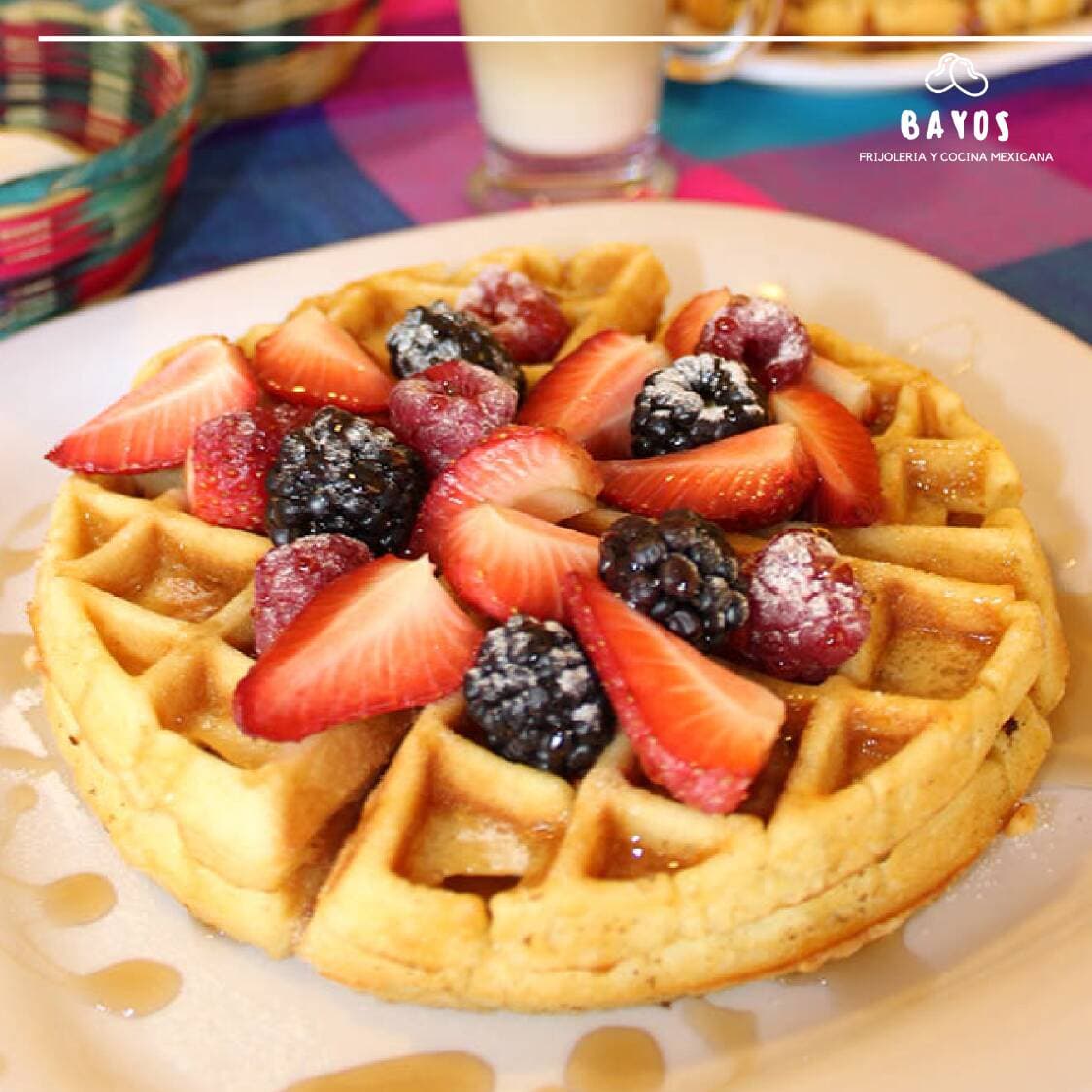 Waffles + Frappé
