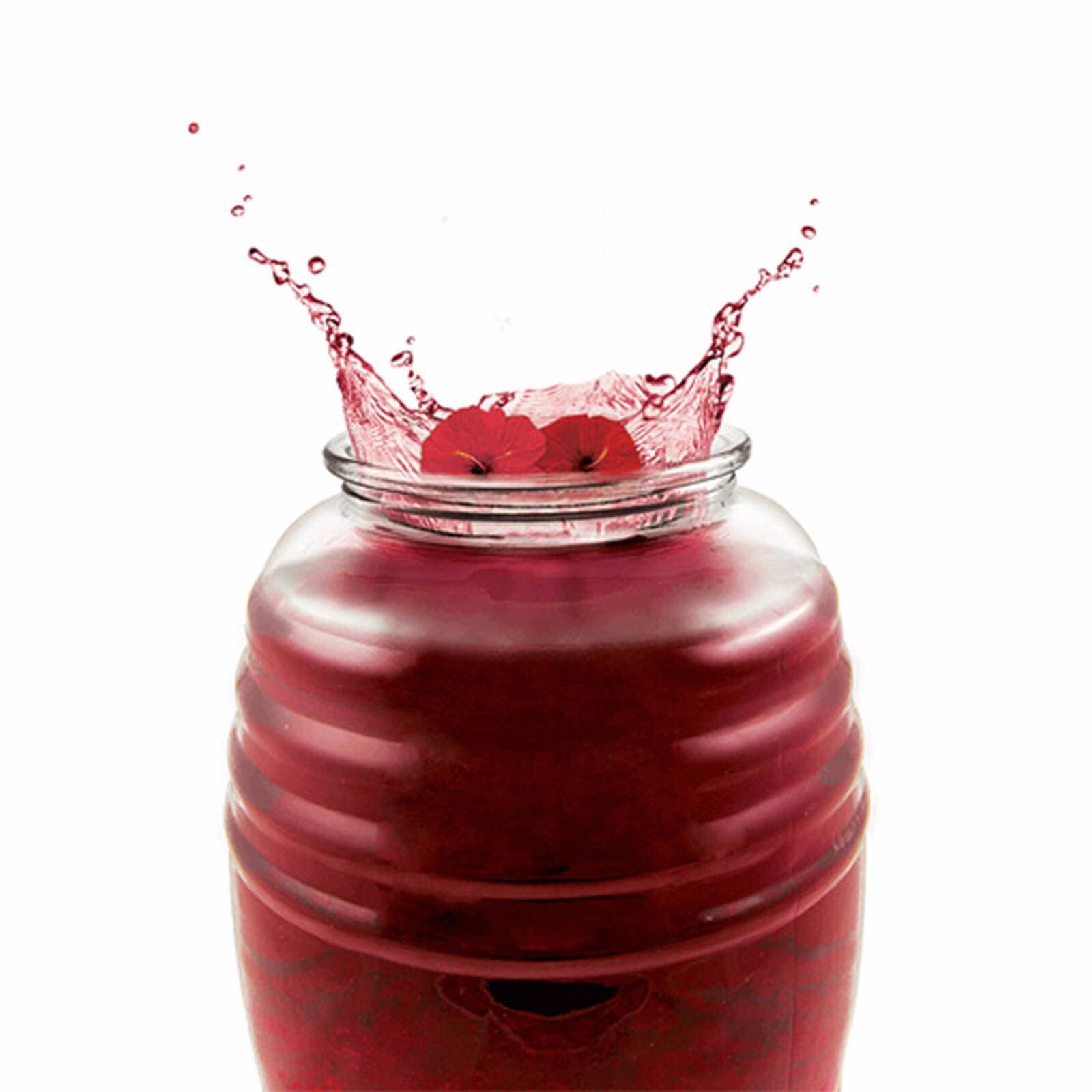Agua de jamaica 500ml