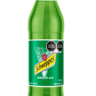 Ginger Ale 600 Ml