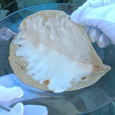 Quesadilla Sencilla