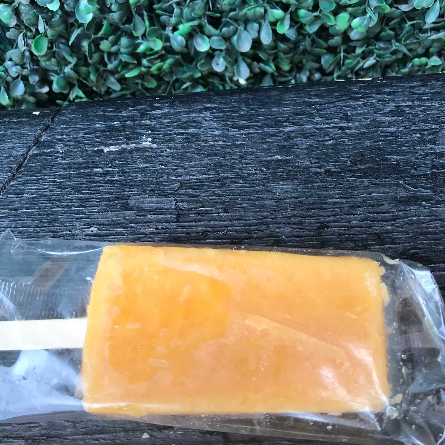 Paleta Mango