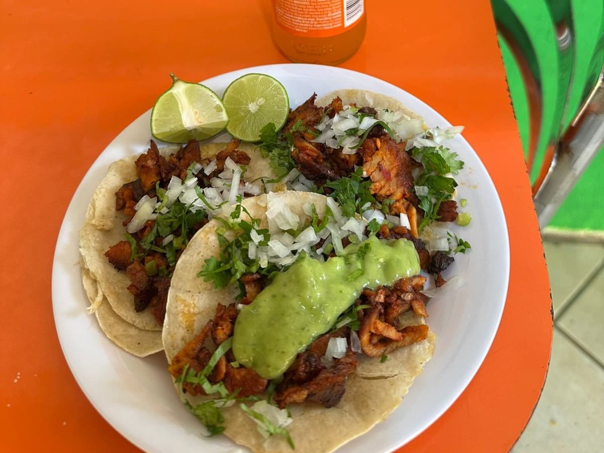 Tacos el Trébol