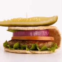 Fit Burger