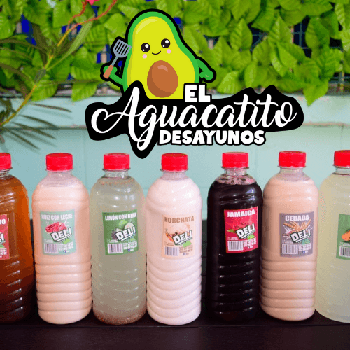 Agua de Sabor 500 Ml