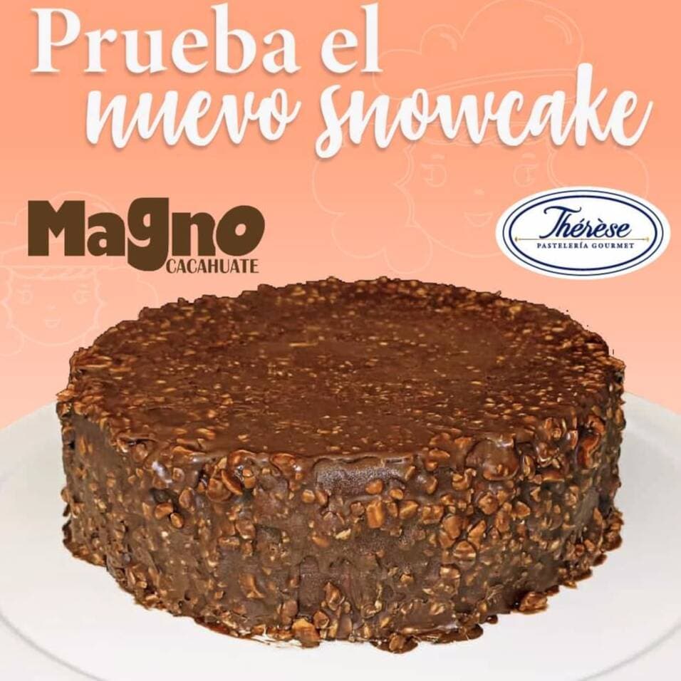 Snow Cake Mediano Magno de Chocolate Crujiente