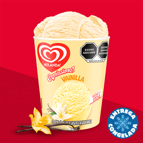Helado de Vainilla 900ML