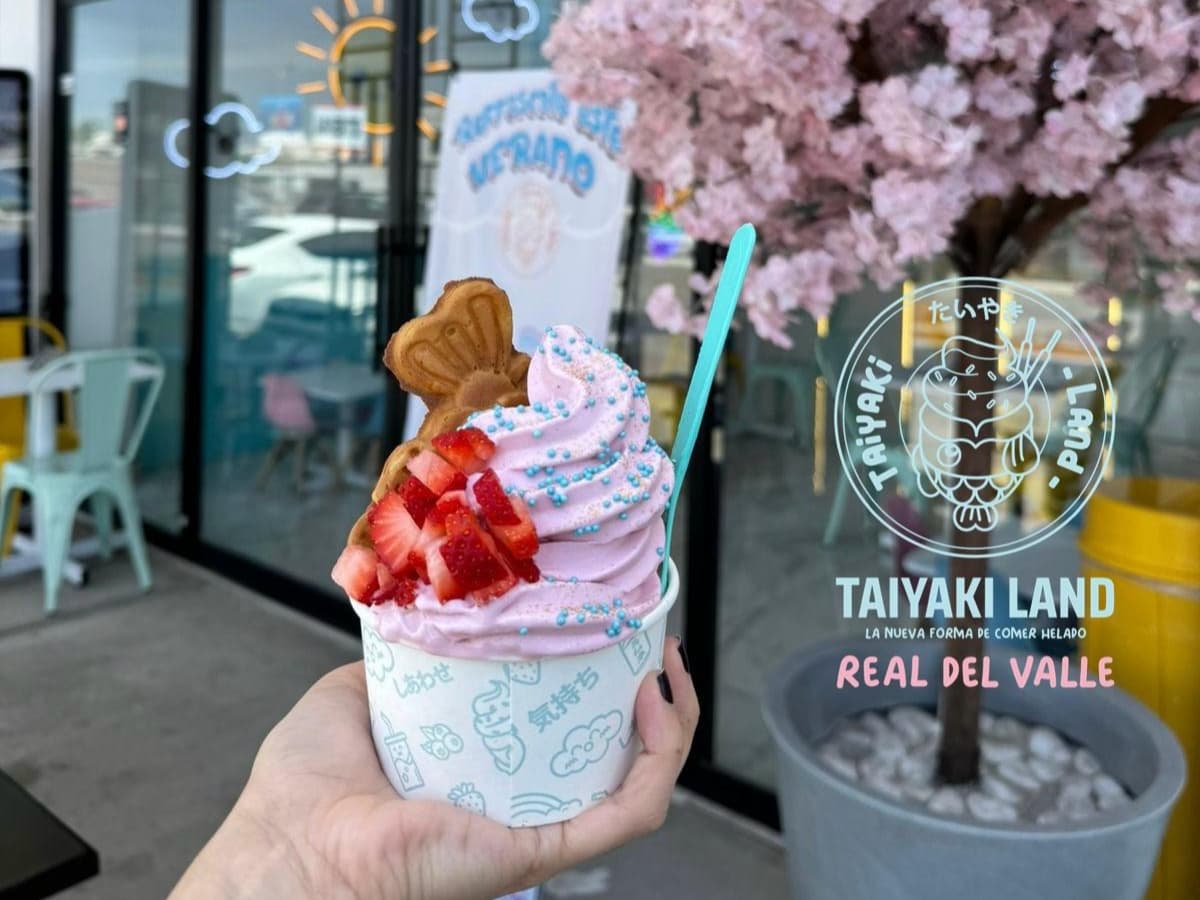 Taiyaki Land Real del Valle