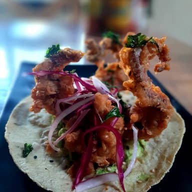Taco Kraken