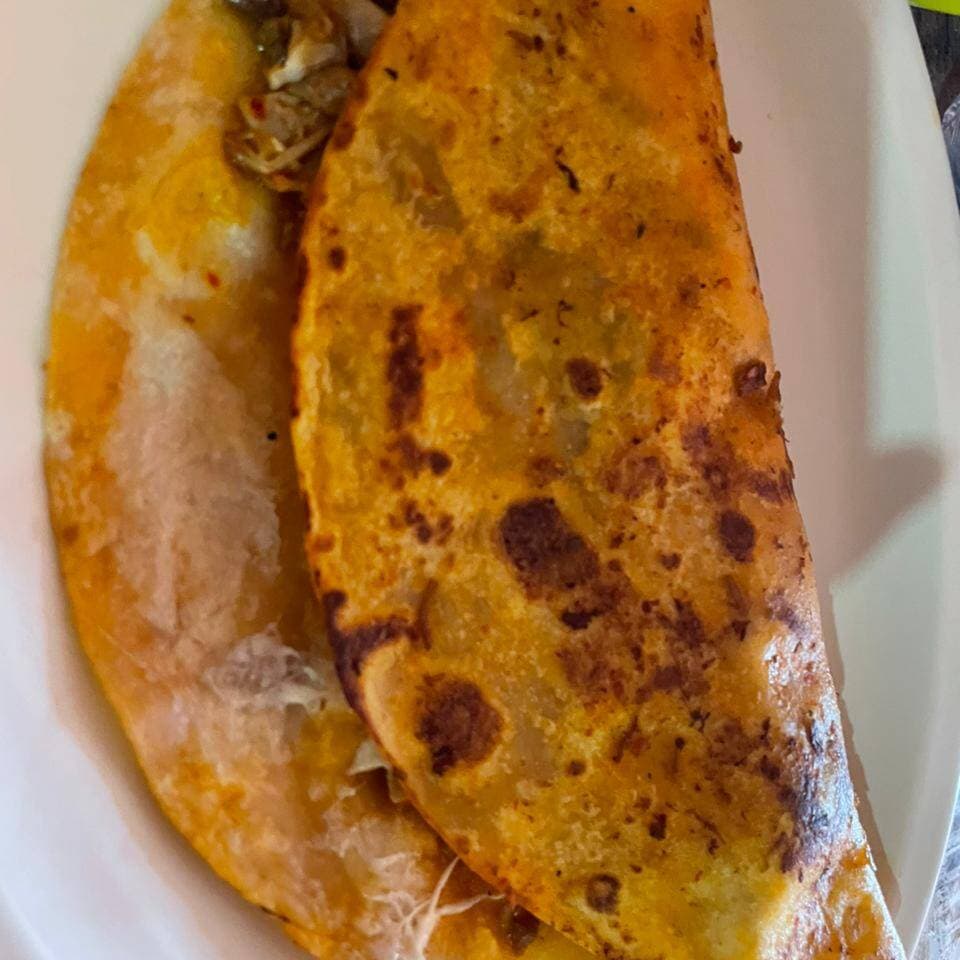 Doradita de birria con queso