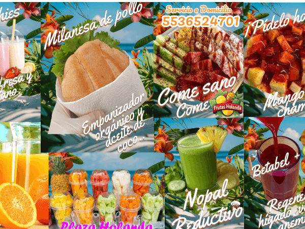 FRUTAS HOLANDA