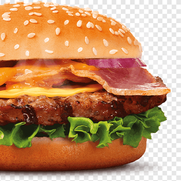 SPECIAL BURGER
