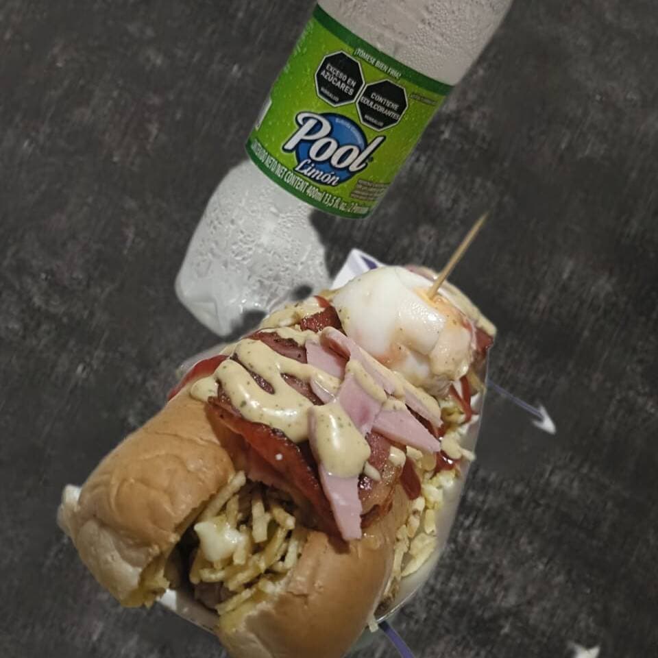 Perro Mixto