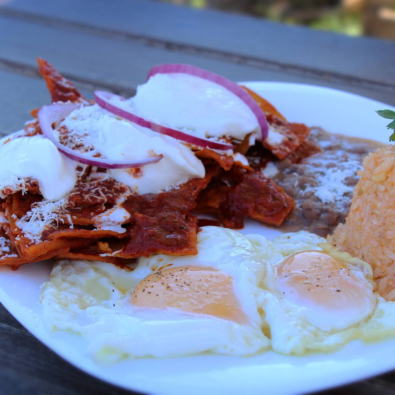 Chilaquiles Rojos con Huevo, Arroz y Frijol