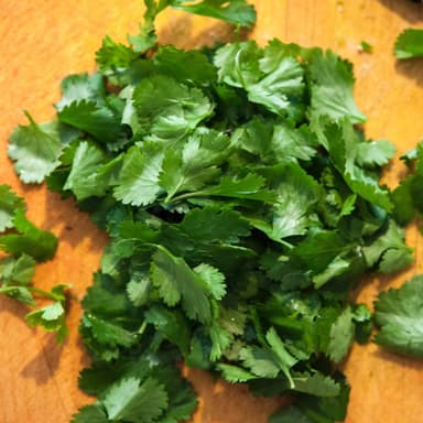 Cilantro