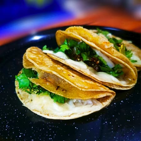 Quesadilla (Queso Navarro)
