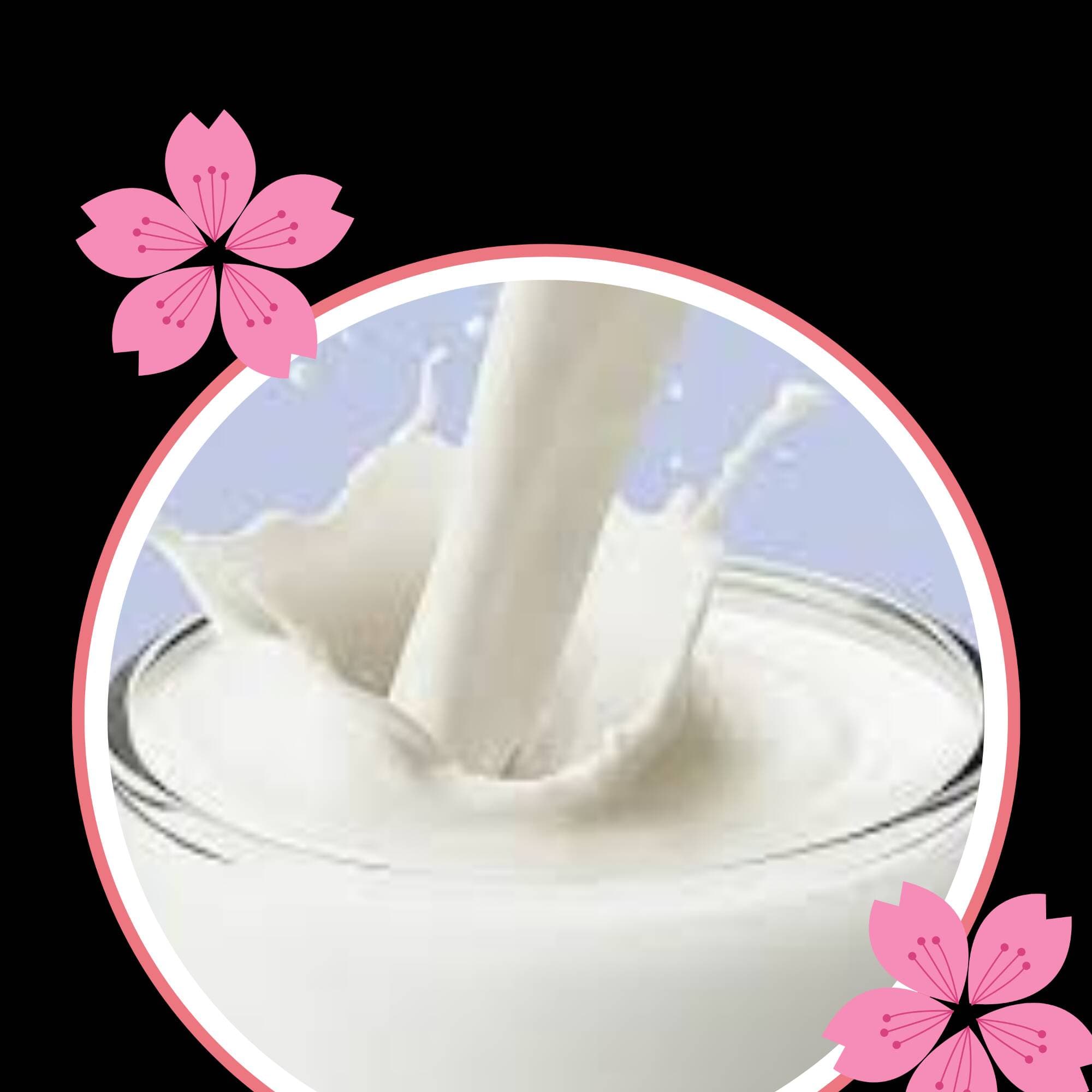 Leche regular