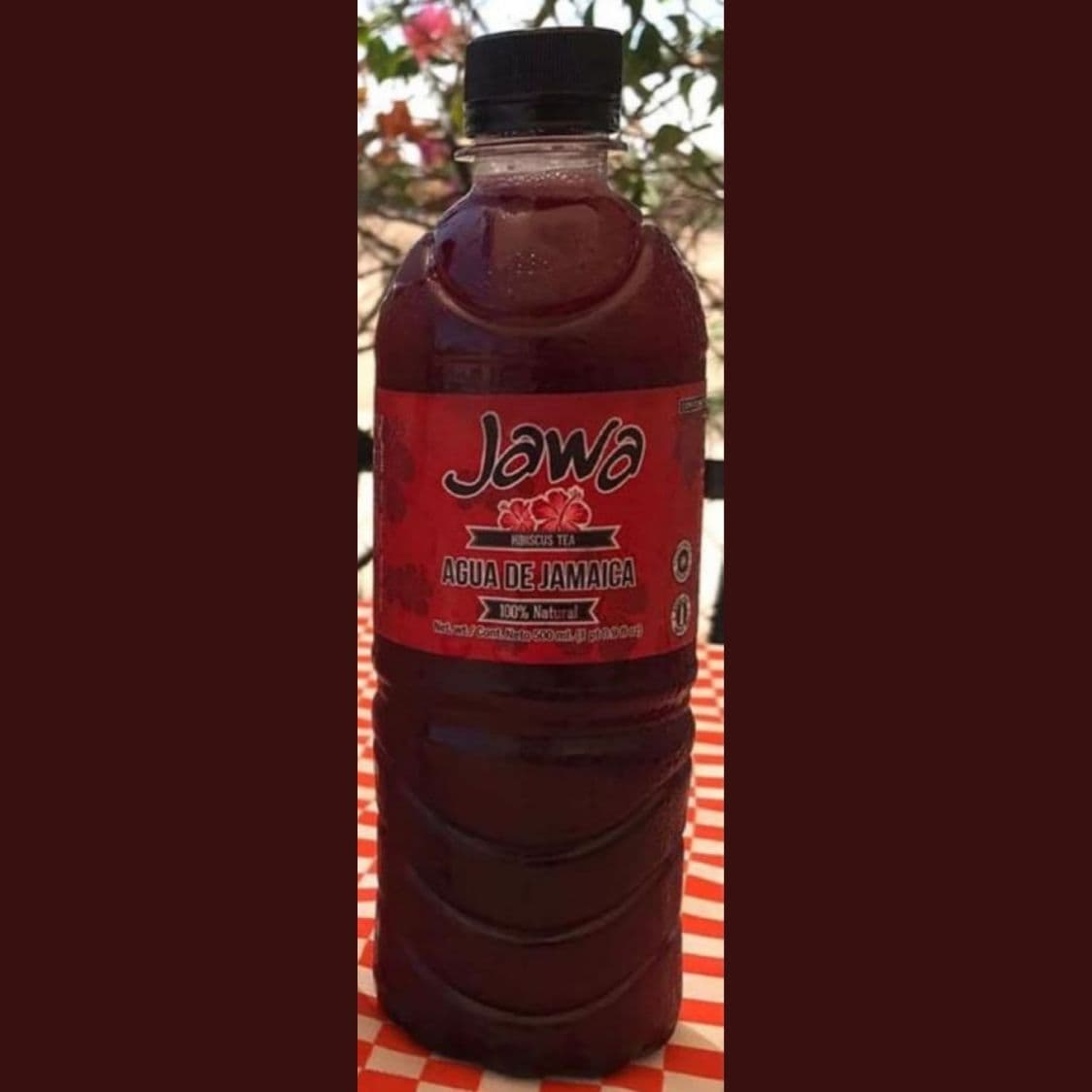 Te Helado de Jamaica 500ml