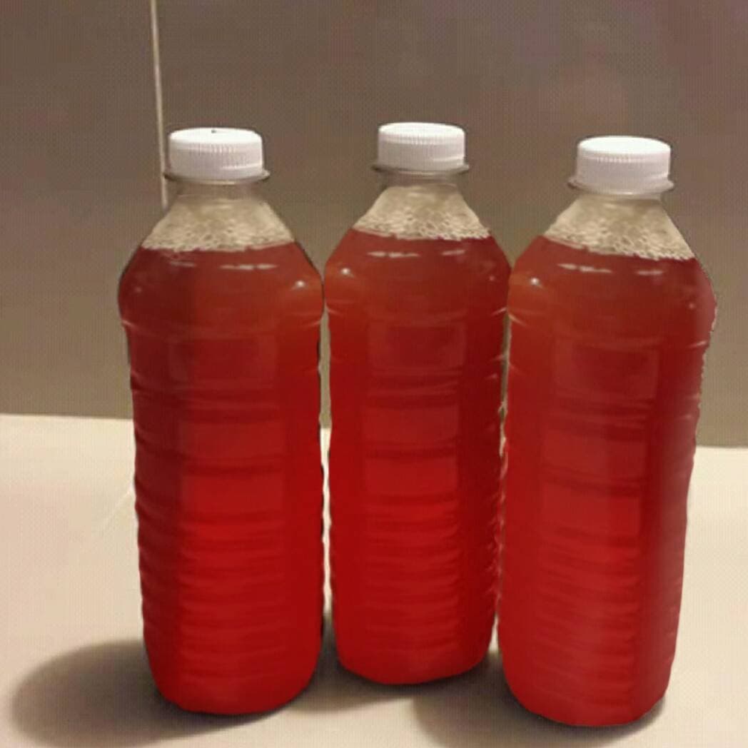 Agua de Jamaica