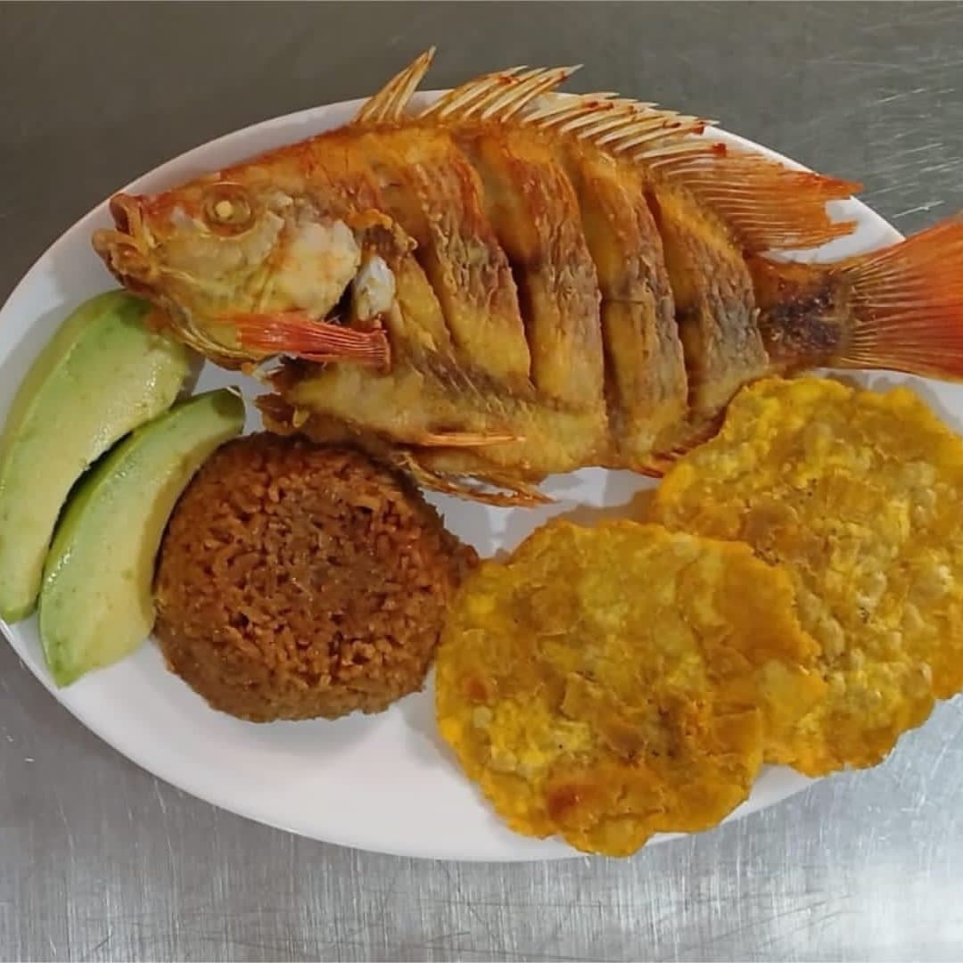 Tilapia