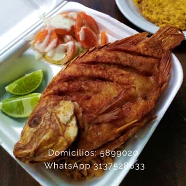 Tilapia