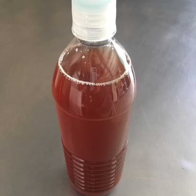 Té Negro 600 ml.