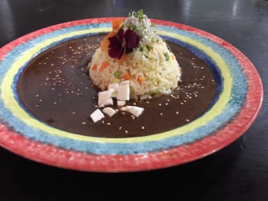 Arroz con Mole