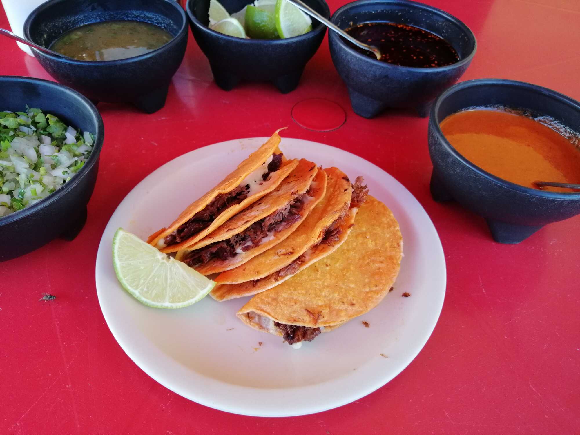 BARBACOA DE RES