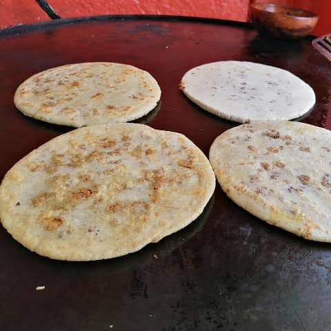 Gordita de Frijol