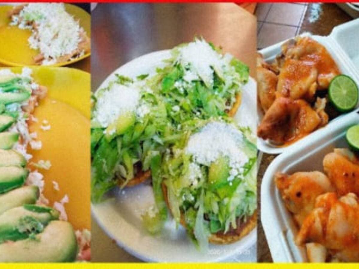 FLAUTAS MINERVA