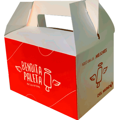 Pack 8 Paletas