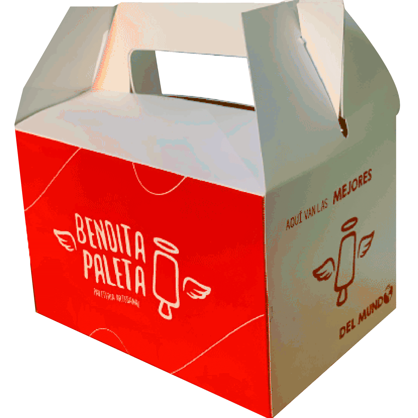 Pack 8 Paletas