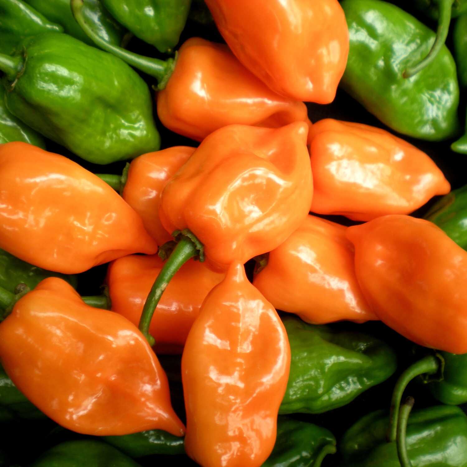 Salsa de chile habanero