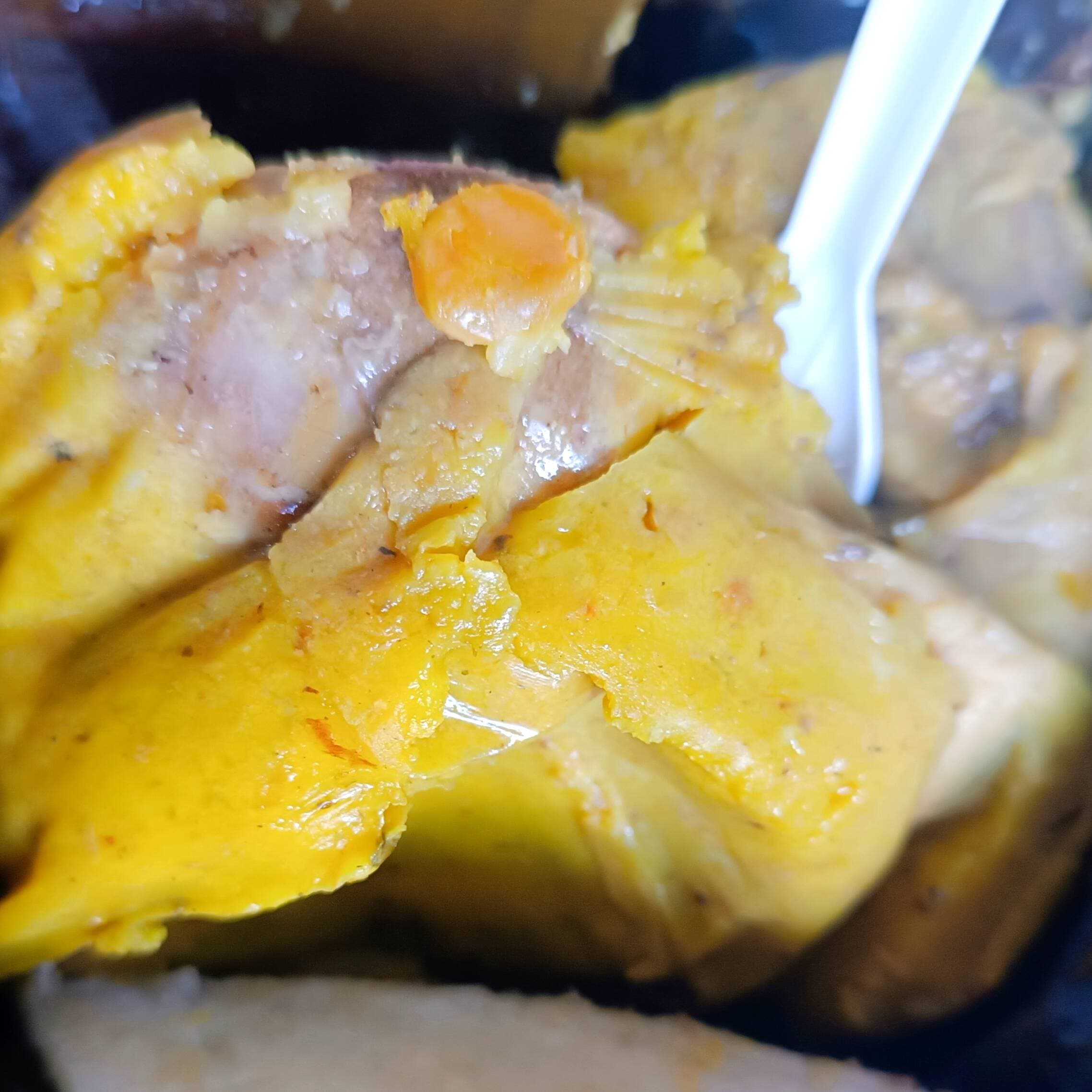 Tamal Tolimense