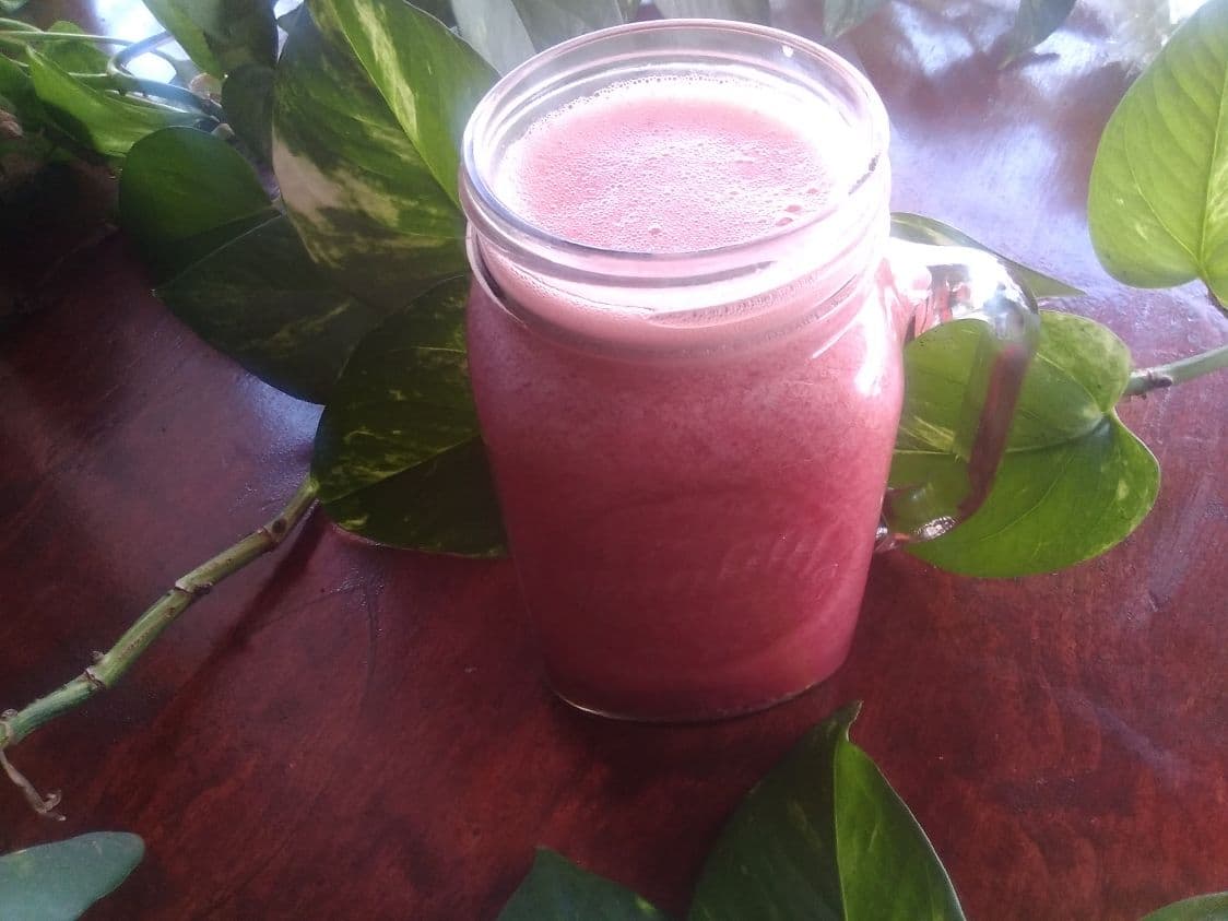 Jugo de Frutos Rojos 500 Ml