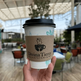 CAFE DE OLLA