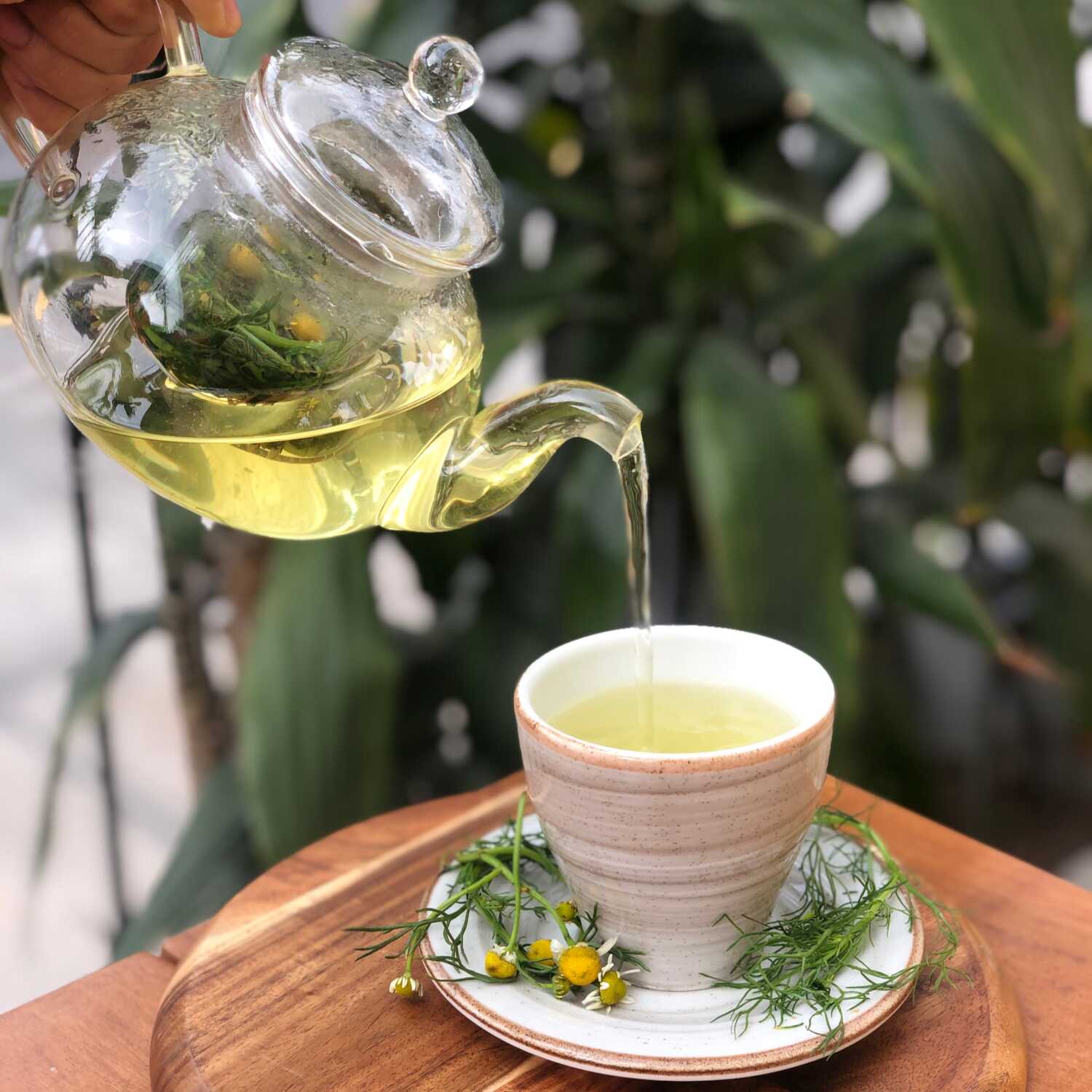 Infusiones clásicas